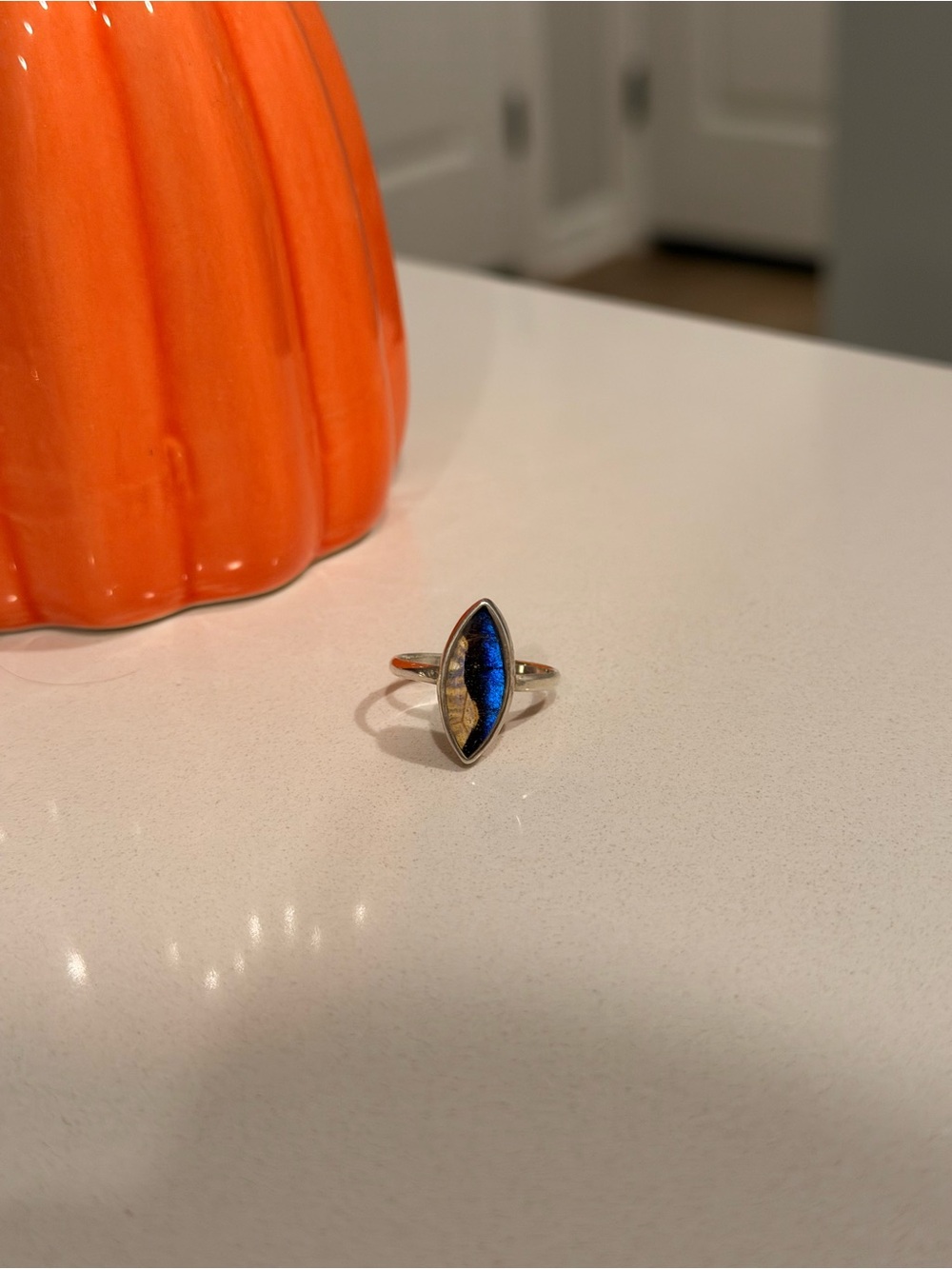 Size 7 950 Sterling Silver Real Butterfly Wing Ring